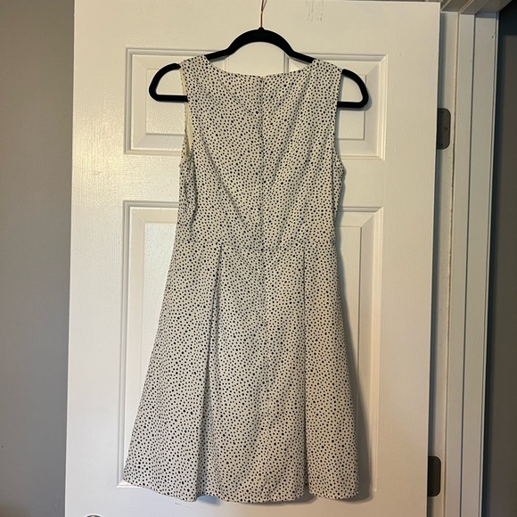 S womens maison Jules boutique polka dot spotted white black dress v neck lined - Picture 7 of 9